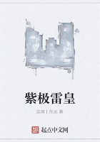 紫极雷皇在线阅读