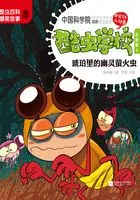 酷虫学校6:琥珀里的幽灵萤火虫(注音版)在线阅读