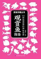 观赏鱼图鉴(图鉴珍藏丛书)在线阅读
