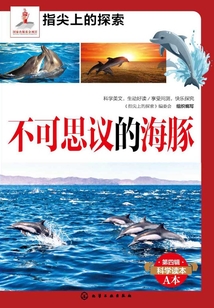 不可思議的海豚