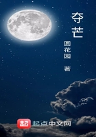 奪芒在線閱讀