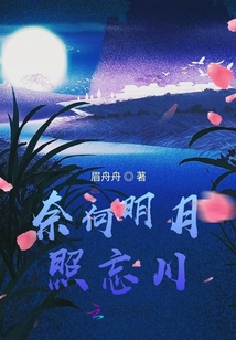 奈何明月照忘川