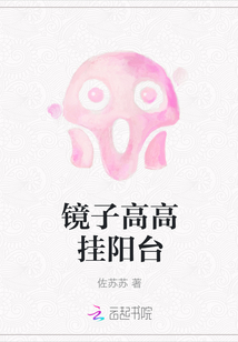 鏡子高高掛陽臺