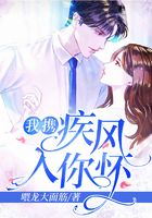 我携疾风入你怀