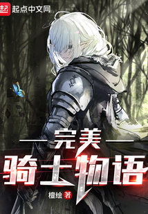 完美騎士物語