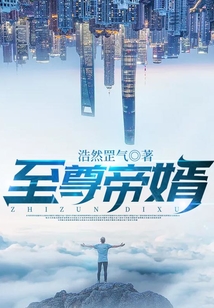 至尊帝婿