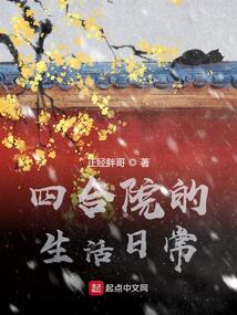 四合院的生活日常在线阅读