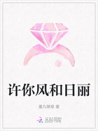 許你風(fēng)和日麗在線閱讀