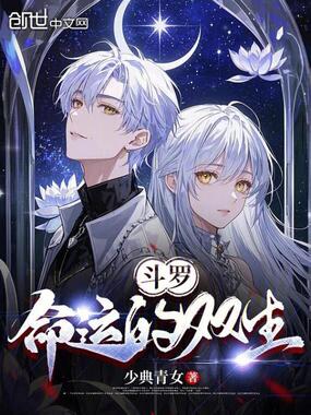 斗罗:命运的双生在线阅读