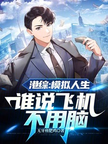 港綜：模擬人生，誰說飛機不用腦