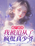 破产前夜,我被迫从了疯批真少爷在线阅读