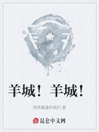 羊城!羊城!在线阅读