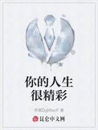 你的人生很精彩在线阅读
