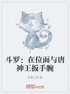 斗羅：在位面與唐神王扳手腕在線閱讀