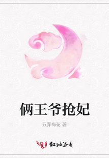 俩王爷抢妃