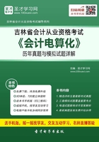 吉林省会计从业资格考试《会计电算化》历年真题与模拟试题详解在线阅读