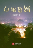 白銀贅婿在線閱讀