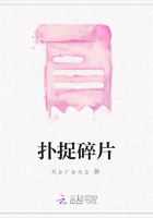 撲捉碎片在線閱讀