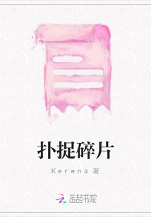撲捉碎片