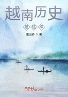 越南历史是这样在线阅读