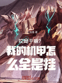 哎呦干嘛？我的機甲怎么全是掛