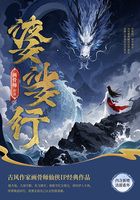 婆娑行在线阅读