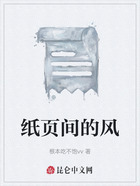 纸页间的风在线阅读
