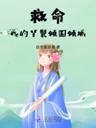 救命,我的丫鬟倾国倾城在线阅读