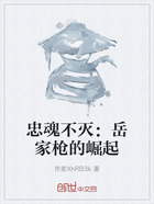 忠魂不滅：岳家槍的崛起在線(xiàn)閱讀