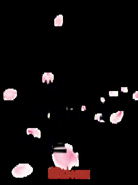 从流金岁月开始的灿烂人生在线阅读