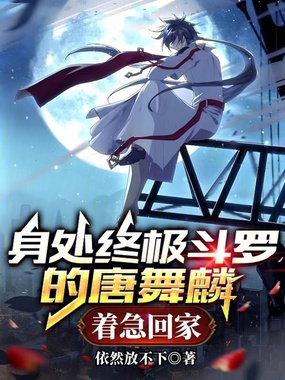 穿越斗四的龙皇斗罗,着急回家!在线阅读