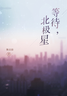 等待,北极星