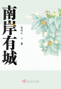 南岸有城