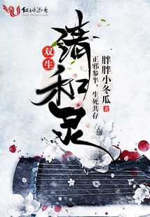 雙生清和錄