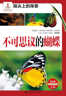 不可思議的蝴蝶