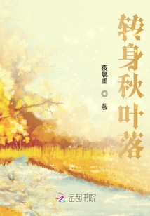 轉(zhuǎn)身秋葉落