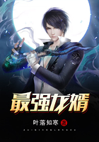 最强龙婿在线阅读