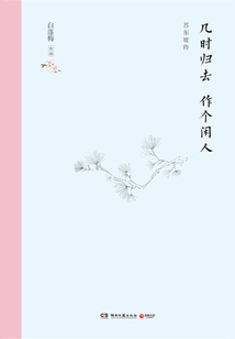 蘇東坡傳：幾時歸去 作個閑人（精裝版）