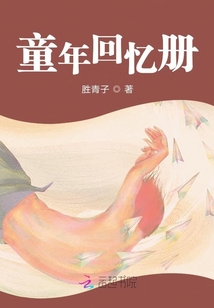 灰色記憶錄