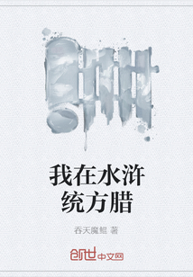 我在水滸統方臘