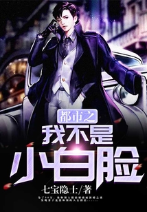 都市之我不是小白臉