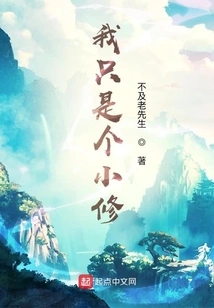 I'm Just a Minor Repairman