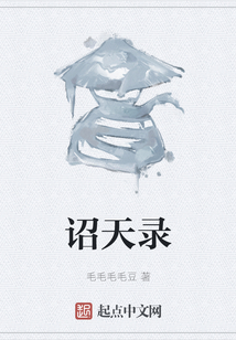 詔天錄