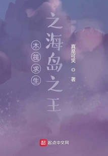 木筏求生之海島之王