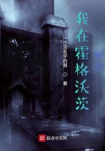 我在霍格沃茨教書