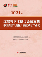 2021年煤层气学术研讨会论文集：中国煤层气勘探开发技术与产业化在线阅读