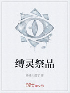 缚灵祭品在线阅读