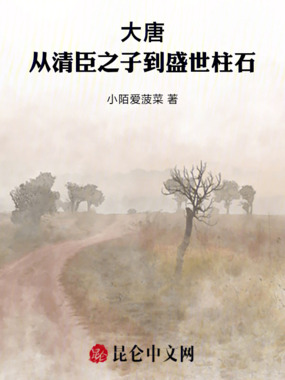 大唐:从清臣之子到盛世柱石在线阅读