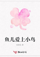 鱼儿爱上小鸟在线阅读