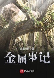 金属事记 cover